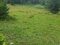 tatry-2019 (20)